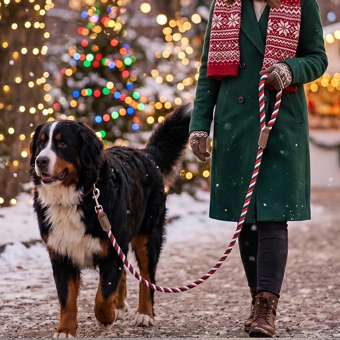 Mile High Life Rainbow Dog Leash Braided Cotton Rope w Leather-Wrapped Ends | Rust-proof 360° swivel clasp, Heavy-duty for medium/large breeds. Great for weddings, daily walks (5FT, 1/2", Red/Green)