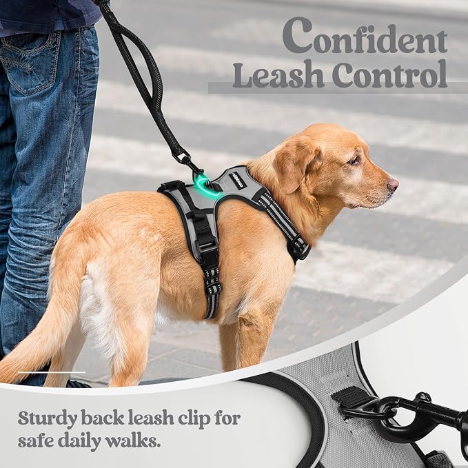 rabbitgoo Dog Harness, No Pull for Small Dogs with 2 Leash Clips, Pet Vest | No Choke with Handle, Adjustable Soft Padded, Reflective, Easy Control for Walking, Gray, Small