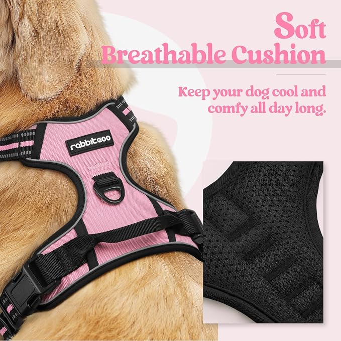 rabbitgoo Dog Harness, No Pull for Small Dogs with 2 Leash Clips, Pet Vest | No Choke with Handle, Adjustable Soft Padded, Reflective, Easy Control for Walking, Pink, Small