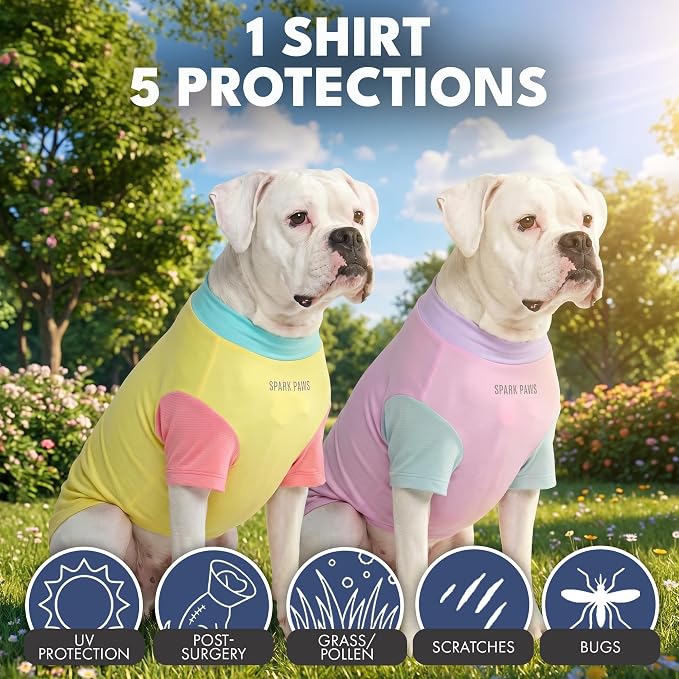 Spark Paws Sunblock Dog T-Shirt, SPF30 Protection, Lightweight Breathable Quick Dry for Dogs with Sensitive Skin - Gelato & Yuzu (Set of 2) - Size 2XL