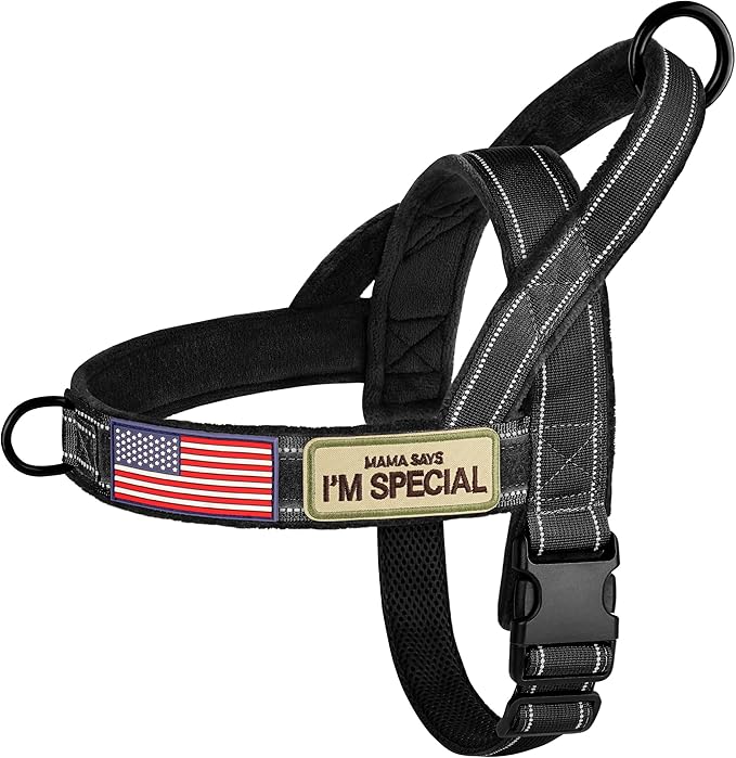 Forestpaw No Pull Dog Harness with Large Handle,Comfortable,XL,Black | Adjustable Fits Chest 32-39",80-110 lbs,Slip On,Quick Release Buckle,Easy Control,Soft Padded,for Large Dogs Walking Training