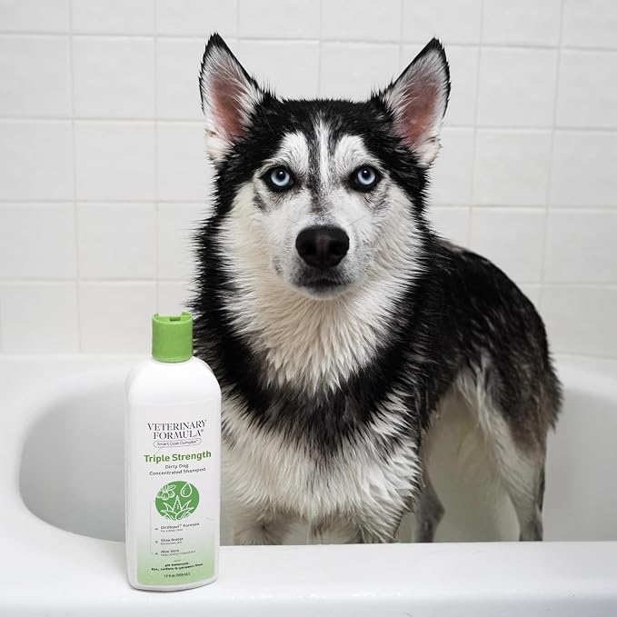 Veterinary Formula Smart Coat Triple Strength Dirty Dog Shampoo, 17 oz | DirtRepel concentrated shampoo with shea butter and aloe vera to clean extra-dirty coats, control odors and soothe skin