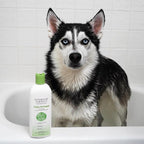 Veterinary Formula Smart Coat Triple Strength Dirty Dog Shampoo, 17 oz | DirtRepel concentrated shampoo with shea butter and aloe vera to clean extra-dirty coats, control odors and soothe skin