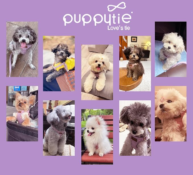 Puppytie Dog Harness and Leash Set, Light Purple, M (16.5-31 lbs) | Harness Small Size Dog, Dog Leash for Small Dogs, Soft Lightweight and Adjustable, Small Dog Harness for Daily Walks