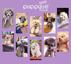 Puppytie Dog Harness and Leash Set, Light Purple, M (16.5-31 lbs) | Harness Small Size Dog, Dog Leash for Small Dogs, Soft Lightweight and Adjustable, Small Dog Harness for Daily Walks