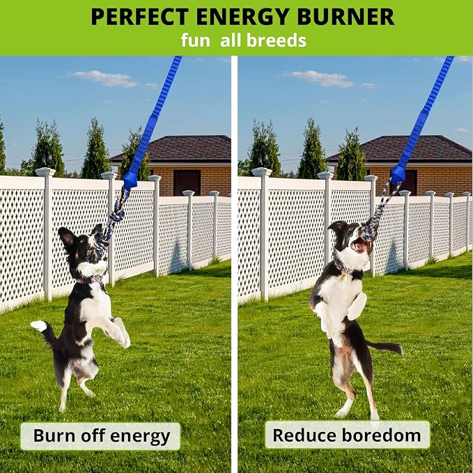 Dog Hanging Bungee Tug Toy: Interactive Tether Tug-of-War for Pitbull Small to Large Dogs to Exercise and Training Equipment - Outdoor Tree Tugger Dog Rope Toy with 2 Chew Rope Toys - Blue