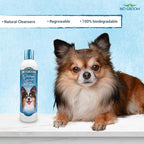 Bio-Groom Protein Lanolin Dog Shampoo - Tear-Free Pet Shampoo, Dog Bathing Supplies, Puppy Wash, Cat & Dog Grooming Supplies, Cruelty-Free, Made in USA, Tearless Dog Products - 12 fl oz 1-Pack