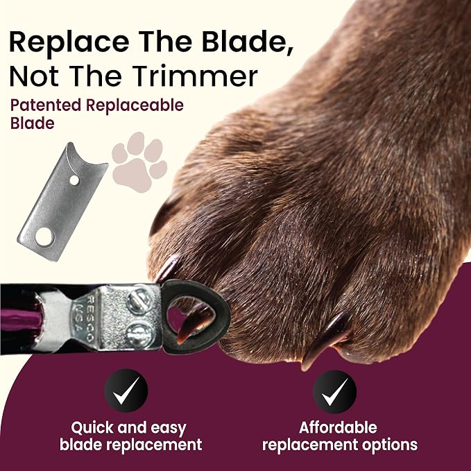 Candy Series Dog Nail Clippers for Small to Medium Dogs – USA-Made Professional Guillotine Pet Nail Trimmer with Replaceable Blade System