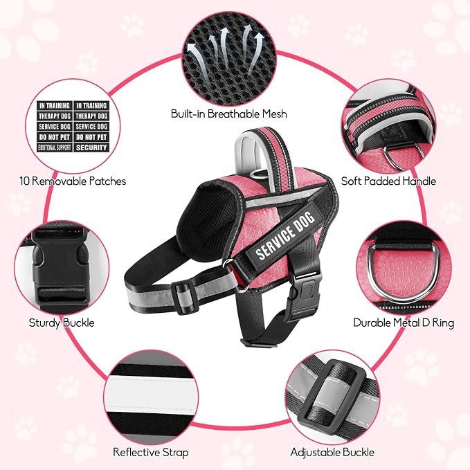 Service Dog Vest Harness and Leash Set, Animire in Training Dog Harness with 10 Dog Patches, Reflective Dog Leash with Soft Padded Handle for Small, Medium, Large, and Extra-Large Dogs (Rosy,XS)
