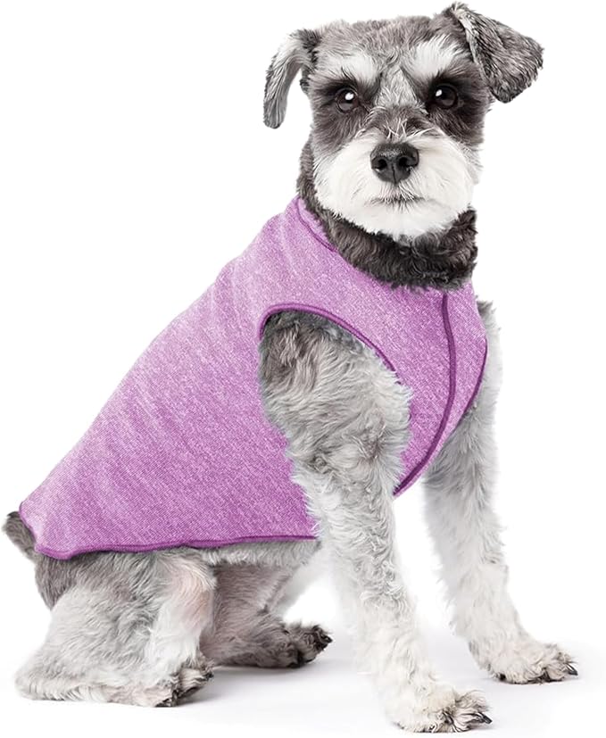 Goldpaw Dog Sun Shirt with UV Protection - Lightweight, Cooling Sun Protection Clothing for Small Dogs - Reduce Heat Absorption - Pet Clothes Made in the USA - Machine Washable - Violet - Size 10