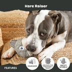 BarkBox Hare Raiser Super Chewer - 2-in-1 - Toy for Medium to Large Dogs | Durable Dog Toy for Aggressive Chewers - Plush