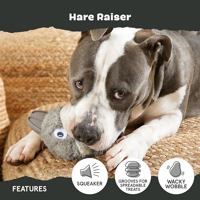 BarkBox Hare Raiser Super Chewer - 2-in-1 - Toy for Medium to Large Dogs | Durable Dog Toy for Aggressive Chewers - Plush