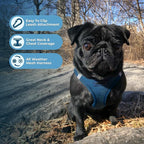Best Pet Supplies Voyager Step-in Air All Weather Mesh Harness and Reflective Dog 5ft Leash Combo with Neoprene Handle, for Small, Medium and Large Breed Puppies - Blue, XXX-Small