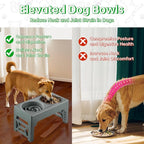 EliteField Elevated Dog Bowls, 2 Stainless Steel Bowls (2-Year Warranty) | 58 oz Bowls, 5 Adjustable Heights, Small to Large Dogs, Foldable, Dishwasher Safe, Anti-Slip Feet