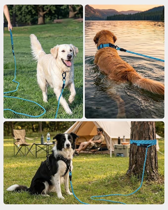 Joytale Long Dog Leash for Yard Tie Out & Recall Training, Blue, 15FT | Secure Locking Carabiner, Removable Padded Handle, Reflective Webbing for Night Safety, Ideal for Outdoor Play and Camping