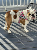 BULLHUG Adjustable Dog Harness– No Pull, No Choke – for English Bulldogs, French Bulldogs, Pugs & Broad-Chested Breeds – Easy, Safe Walks (Check, Small)
