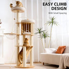 HITTITE Solid Wood Cat Tree Tower with Scratching Post, 61 Inches Tall Cat Towers with Capsule and Condo, Modern Cat Tower with Hammock and Removable Top Bed for Indoor Cats.White