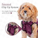 BellyGuard Dog Surgery Recovery Suit, Post-Op Dog Recovery Suit for Female Spay & Male Neuter, Comfy Onesie for Pets, Surgical Body Cover for Canine Healing Support