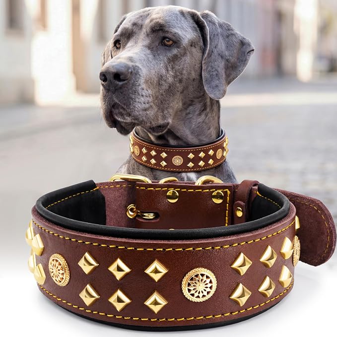 Genuine Leather Dog Collar 2.2 in Wide for Large Dogs Heavy Duty, BN-GD-S | Handcrafted,Stainless Steel Buckle and Alloy Studded,Soft Padded,Fashionable Daily Wear for Large Giant Breed,16.5-20.5 in