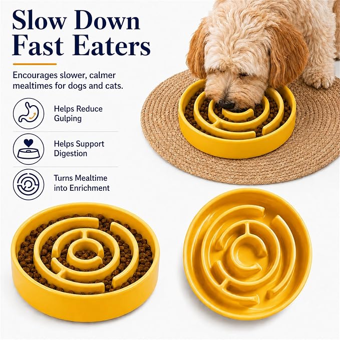 Ceramic Slow Feeder Dog Bowl, 1.5 Cup Puzzle Dish for Small Medium Dogs | Glazed ceramic maze bowl with 1.5-cup capacity for dry or wet food, sized for small and medium dogs