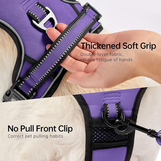 NESTROAD No Pull Dog Harness,Adjustable Oxford Dog Vest Harness with Leash,Reflective No-Choke Pet Harness with Easy Control Soft Handle for Small Dogs(Small,Purple)