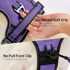 NESTROAD No Pull Dog Harness,Adjustable Oxford Dog Vest Harness with Leash,Reflective No-Choke Pet Harness with Easy Control Soft Handle for Small Medium Dogs(Medium,Purple)
