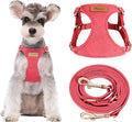 Puppytie Dog Harness and Leash Set, Red Camellia, M (16.5-31 lbs) | Harness Small Size Dog, Dog Leash for Small Dogs, Soft Lightweight and Adjustable, Small Dog Harness for Daily Walks