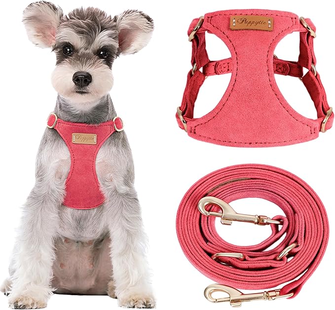 Puppytie Dog Harness and Leash Set, Red Camellia, M (16.5-31 lbs) | Harness Small Size Dog, Dog Leash for Small Dogs, Soft Lightweight and Adjustable, Small Dog Harness for Daily Walks
