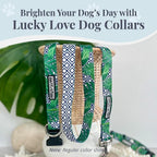 Lucky Love Dog Collar and Leash Set, Beautiful & Vivid Patterns, Easy On & Off Clasp Accessory (Blue Laguna, L Combo)