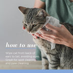 Burts Bees for Pets Kitten Grooming Wipes with Buttermilk, 50 Count, 6-Pack | Waterless bath wipes clean face, paws, tail, and coat, gentle alternative to bathing for indoor cats