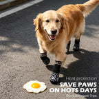 EXPAWLORER Dog Socks for Hot Pavement to Prevent Licking Paws, Non-Slip Dog Grippy Booties Shoes for Hardwood Floors, Traction Control Boots & Paw Protectors for Small Medium Large Senior Dogs Black S