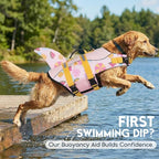 ASENKU Dog Life Jacket - Pet Safety Vest for Swimming & Boating, Shark Life Jacket with Floatation, Dog Lifesavers Swimsuits for Small Medium Large Dogs (Summerpink, XL)