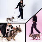 Wolfgang Heavy Duty Dog Leash, Pull-Tested to Over 800 lbs for Walking & Training, HoundsPink Print, Large