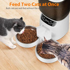 Automatic Cat Feeder and Water Fountain, 5L/20 Cups Timed Cat Dry Food Dispenser, 10s Meal Call, 20 Portions 6 Meals Per Day, 2L Cats Fountains for Drinking with Filter, Pet Feeder for Dog White