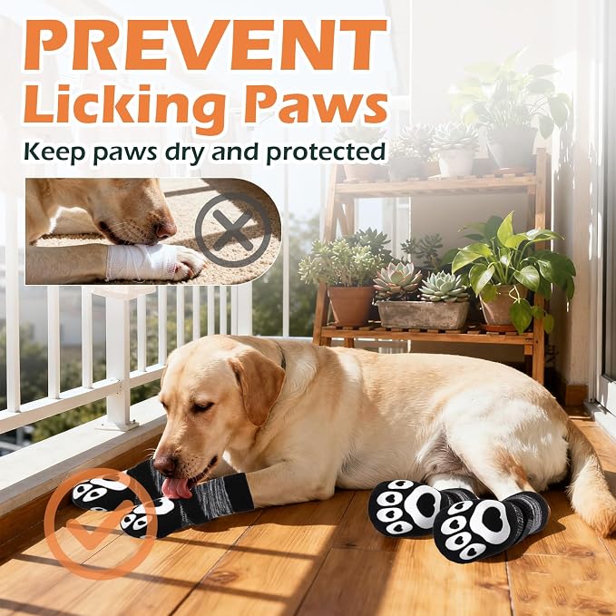 EXPAWLORER Dog Socks to Prevent Licking Paws with Grippers for Hardwood Floors Anti Slip,Glow-in-the-Dark Dog Summer Shoes Booties Boots & Paw Protectors for Small Medium Large Senior Dogs Black M