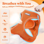 rabbitgoo Dog Harness Small Sized and Leash Set, Step-in Puppy Pet Vest | Light, Soft, Breathable Air Mesh, Easy on and Remove with Hook & Loop, Secure Reflective for Walking, Orange XXS
