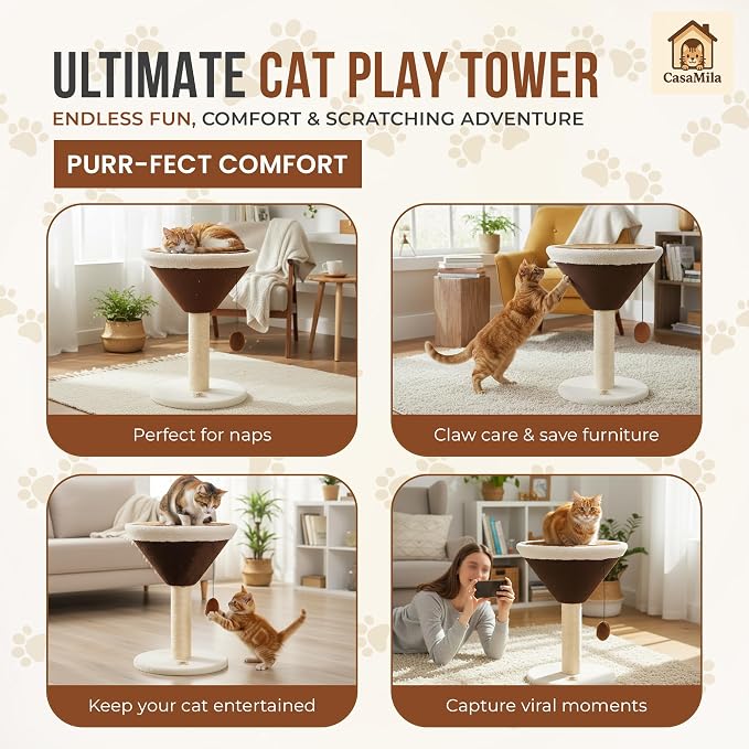 CasaMila Espresso Martini Cat Scratcher 20", Cat Scratching Post, Cat Scratching Tree, Cat Post, Scratching Post for Indoor Cats, Modern Cat Tree with Bed, Martini Cat Tree, Cute Novelty Cat Post