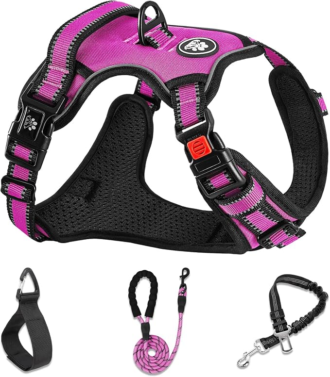 NESTROAD No Pull Dog Harness,Adjustable Oxford Dog Vest Harness with Leash,Reflective No-Choke Pet Harness with Easy Control Soft Handle for Large Dogs(X-Large,Fuchsia Pink)