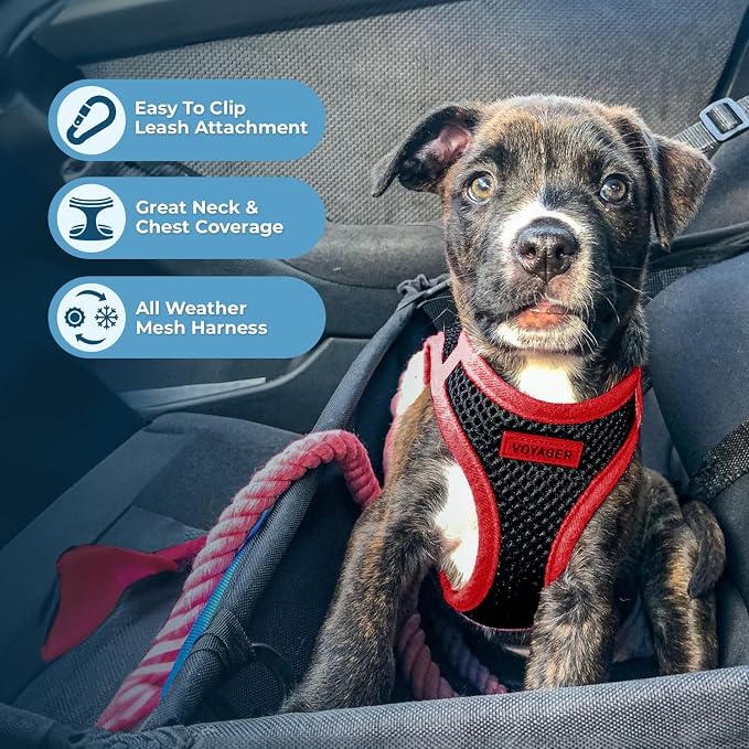 Best Pet Supplies Voyager Step-in Air All Weather Mesh Harness and Reflective Dog 5ft Leash Combo with Neoprene Handle, for Small, Medium and Large Breed Puppies - Red Trim, X-Small