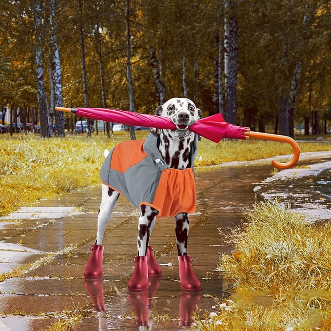 IECOii Dog Raincoat, Waterproof & Windproof Dog Rain Jacket with Reflective Strips for Rainy Walks,Pet Rain Poncho with Hood,Quick Dry,Easy to Wear,3XL Fits for Large Breeds,Orange,XXXL