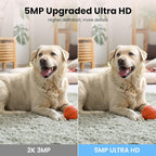 wansview Indoor/Baby/Pet Camera with Phone App, 5G&2.4G Wi-Fi, Q5 5MP White | UHD Security Camera Indoor for Monitoring Home/Baby/Cat/Dog/nanny, 2 Way Audio, 24/7 TF Card Storage(TF Card Not Included)