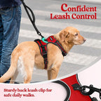 rabbitgoo Dog Harness, No Pull for Small Dogs with 2 Leash Clips, Pet Vest | No Choke with Handle, Adjustable Soft Padded, Reflective, Easy Control for Walking, Red, Small