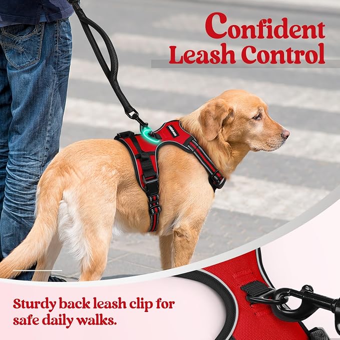 rabbitgoo Dog Harness, No Pull for Small Dogs with 2 Leash Clips, Pet Vest | No Choke with Handle, Adjustable Soft Padded, Reflective, Easy Control for Walking, Red, Small