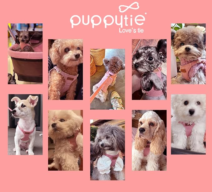 Puppytie XS Dog Harness and Leash Set, Pink, XS (4.5-11 lbs) | Extra Small Dog Harness, Puppy Harness and Leash, Soft Lightweight and Adjustable, Xsmall Dog Harness for Daily Walks