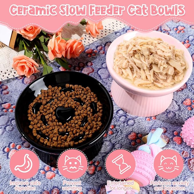 Tioncy 2 Pcs Ceramic Elevated Slow Feeder Cat Bowl, Raised Cat Slow Feeder Bowl, Anti Vomiting for Dry and Wet Food, No Spill High Edge Easy Clean Dishwasher Safe (Black,Pink)