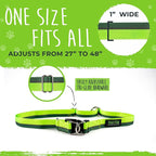 Mighty Paw Hands Free Dog Leash | Bungee Waist Leash for Dog Walking. Pet Running Hands Free Tether for Large, Medium & Small Breeds. Pet Waist Belt (36" - 48") Up to 150 lbs - Green
