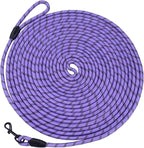 Long Dog Leash for Training 20Ft-Reflective Nylon Rope with Swivel Hook-Recall Agility Lead for Large Small Medium Dogs Outside Walking Hiking-Purple