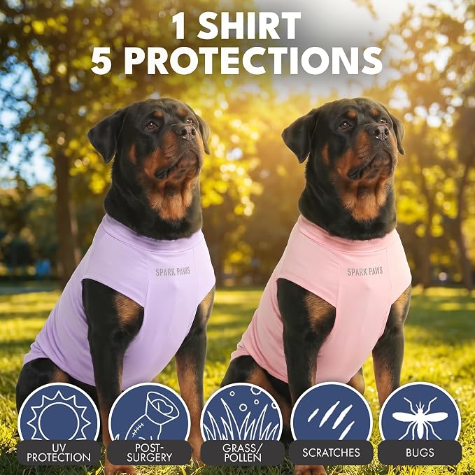 Spark Paws Sunblock Dog T-Shirt, SPF30 Protection, Lightweight Breathable Quick Dry for Dogs with Sensitive Skin - Purple & Pink (Set of 2) - 2XL