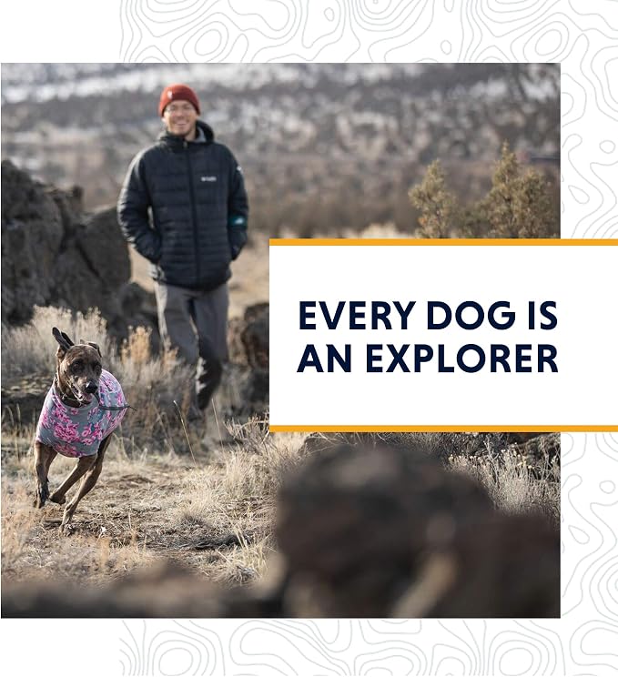 Ruffwear, Grip Trex Dog Shoes, Non-Slip Boots for Hot Pavement & Snow, Weatherproof Paw Protection with Breathable Mesh, Rugged Sole for Hiking, Obsidian Black, 1.50"