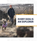 Ruffwear, Grip Trex Dog Shoes, Non-Slip Boots for Hot Pavement & Snow, Weatherproof Paw Protection with Breathable Mesh, Rugged Sole for Hiking, Obsidian Black, 1.75"